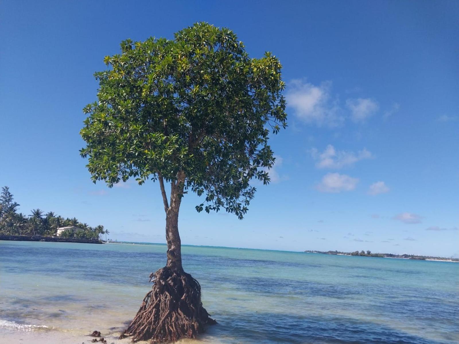 Sunshine Residence Holiday Apartments Mauritius Poste Lafayette Extérieur photo